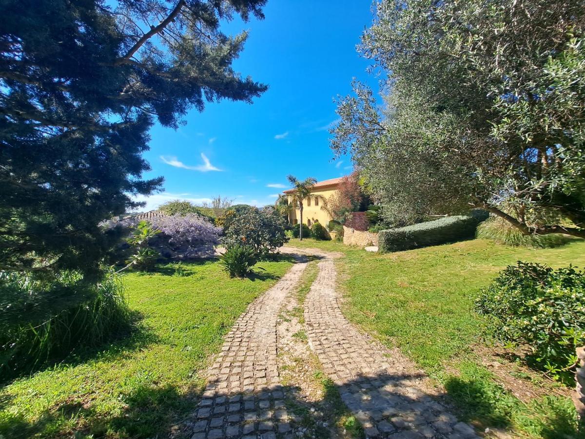 Rez De Jardin Villa Presqu'Ile De Giens Hyères Buitenkant foto