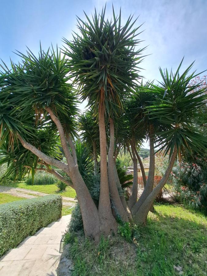 Rez De Jardin Villa Presqu'Ile De Giens Hyères Buitenkant foto